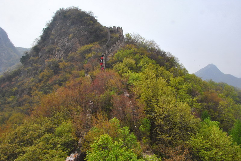 20120429һ۵_456_С.jpg
