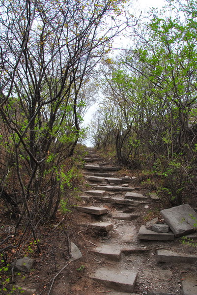 20120429һ۵_467_С.jpg