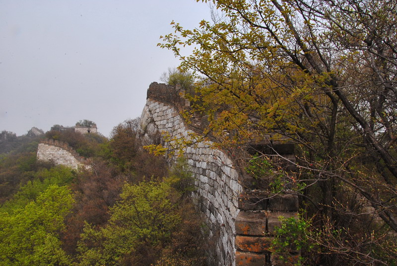 20120429һ۵_477_С.jpg