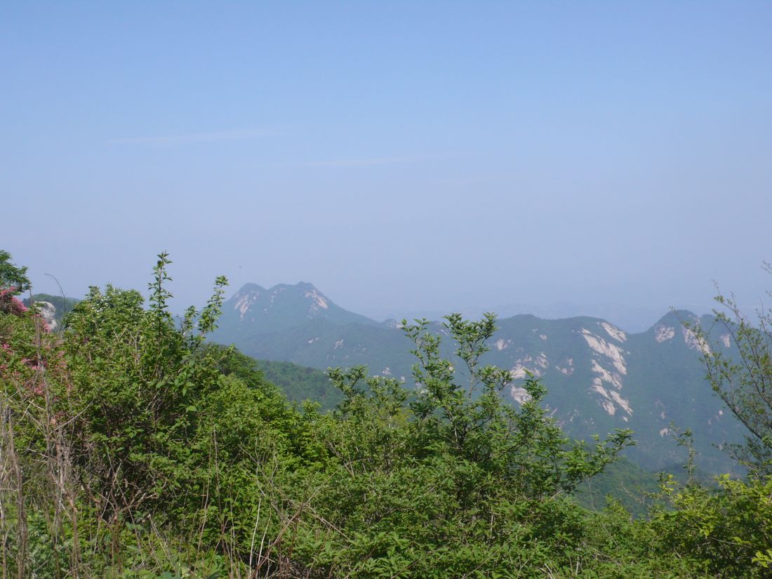 l1120317.jpg
