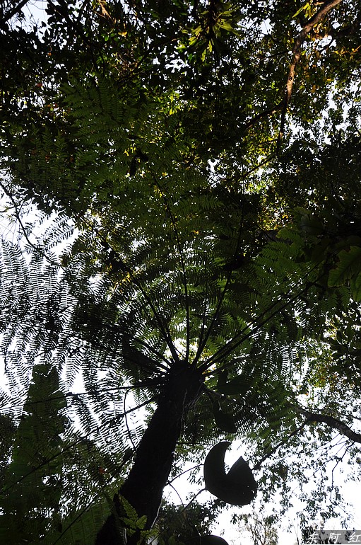 dsc_0882.jpg
