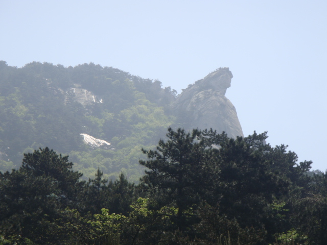 ǿž (9).jpg
