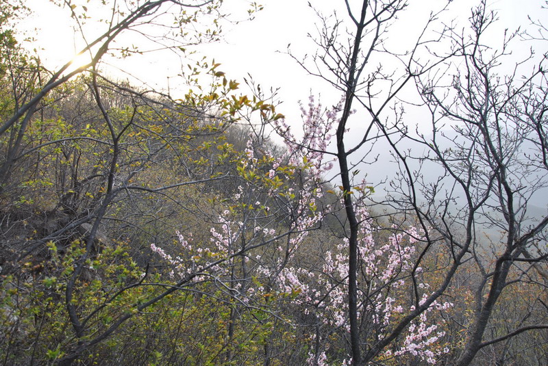 20120429һ۵_062_С.jpg