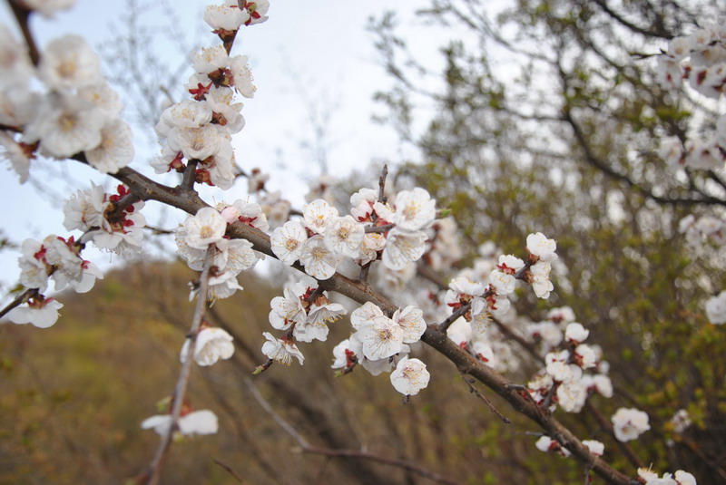 20120429һ۵_087_С.jpg