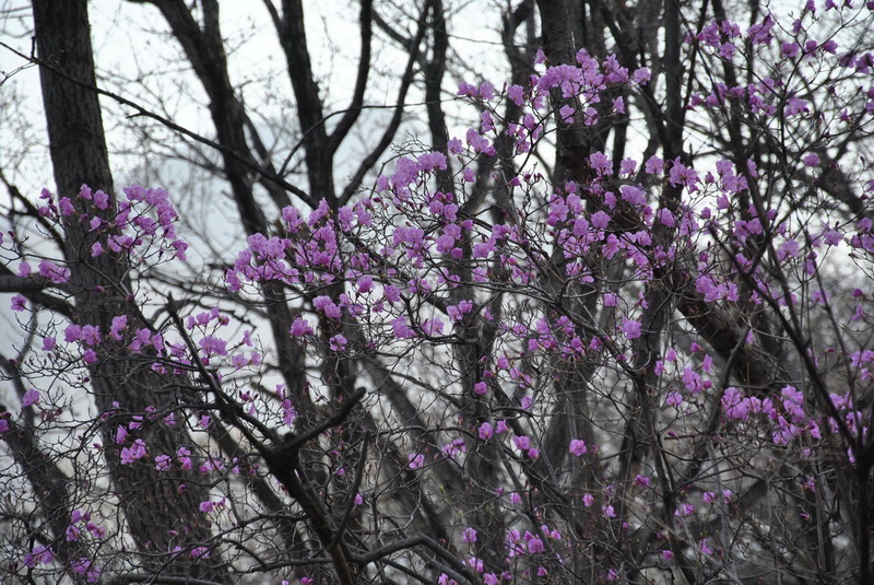 20120429һ۵_123_С.jpg