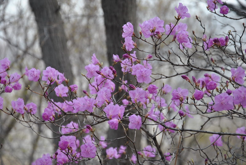 20120429һ۵_124_С.jpg