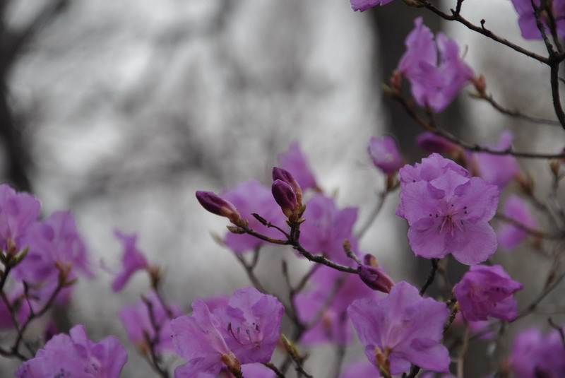20120429һ۵_134_С.jpg