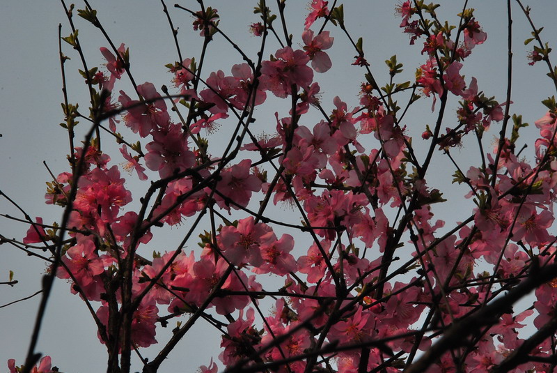 20120429һ۵_157_С.jpg