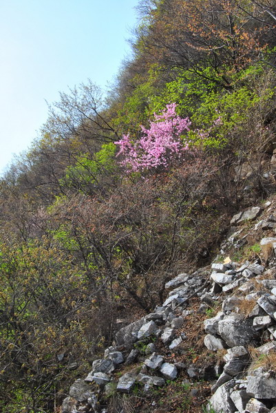 20120429һ۵_187_С.jpg