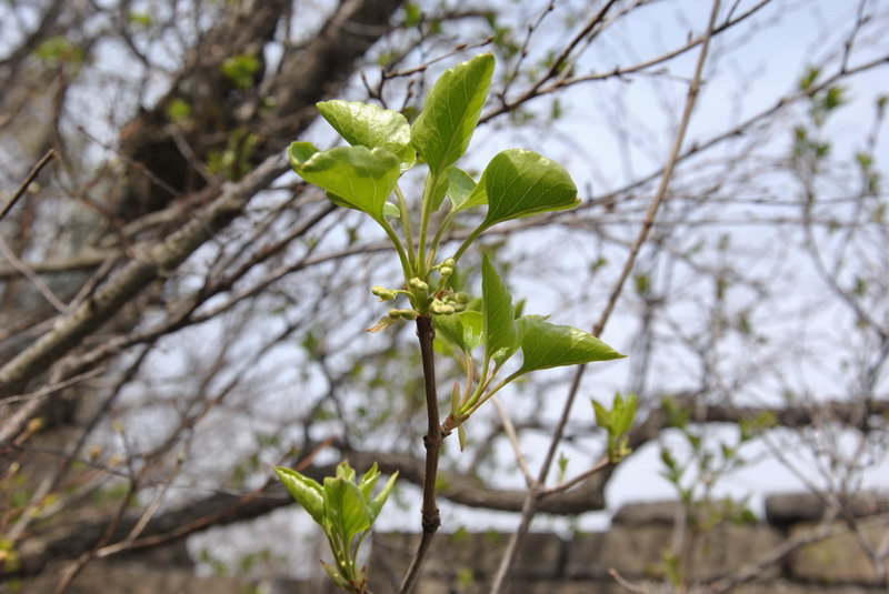20120429һ۵_357_С.jpg