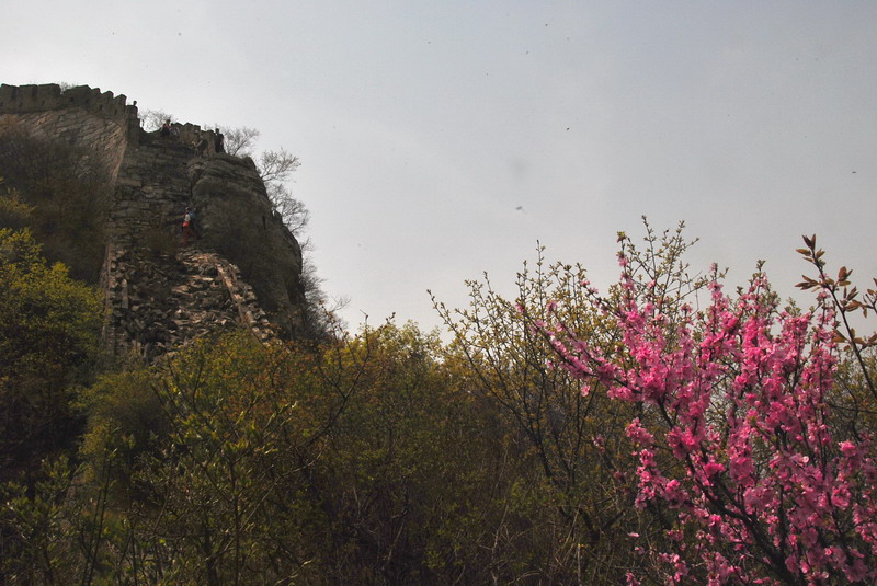20120429һ۵_402_С.jpg