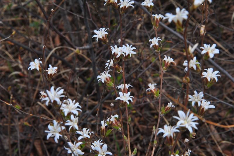 20120429һ۵_424_С.jpg