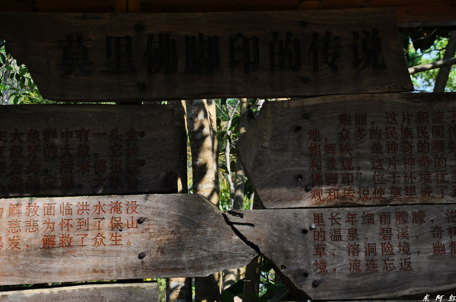 dsc_0907.jpg