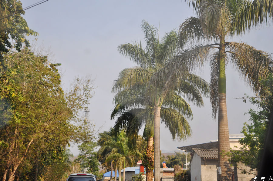 dsc_0915.jpg