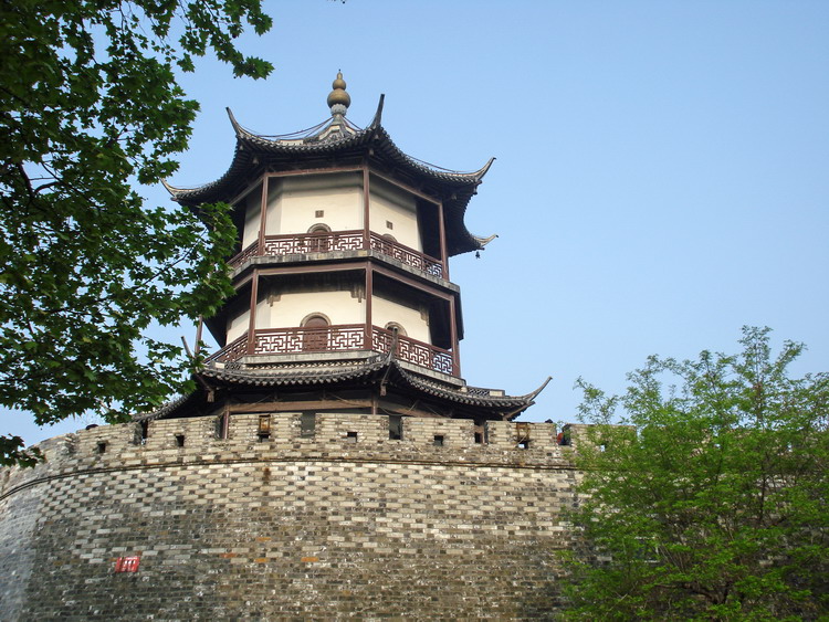 dsc08408.jpg