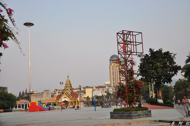 dsc_1001.jpg