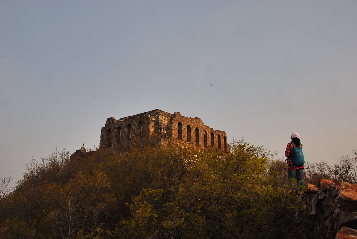 dsc_0254.jpg