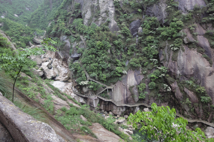 dsc09240.gif