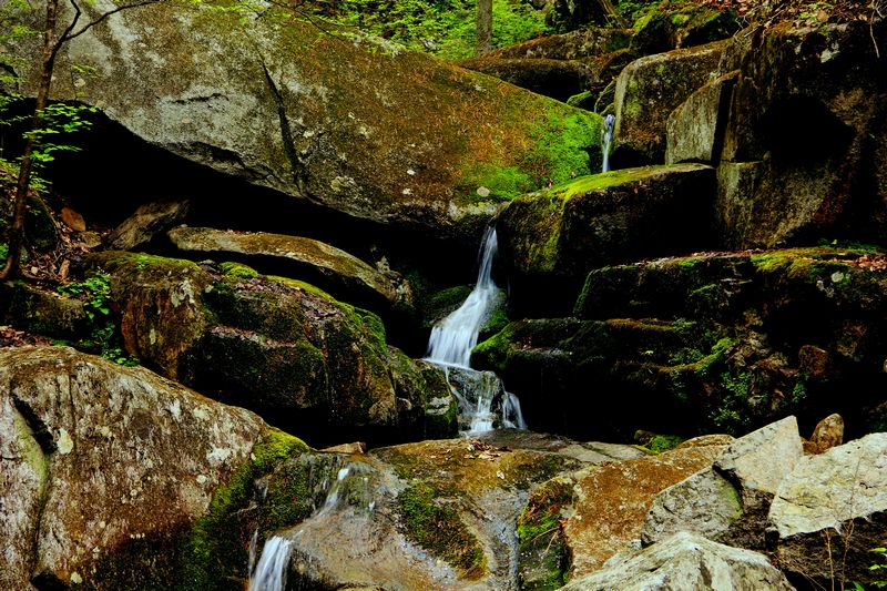 _mg_5944.jpg