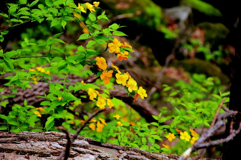 _mg_5983.jpg
