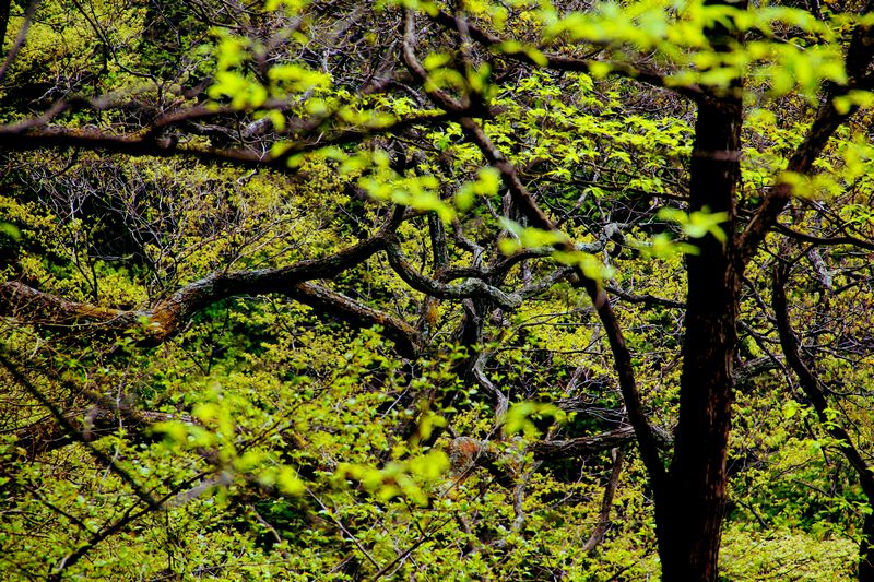 _mg_6234.jpg