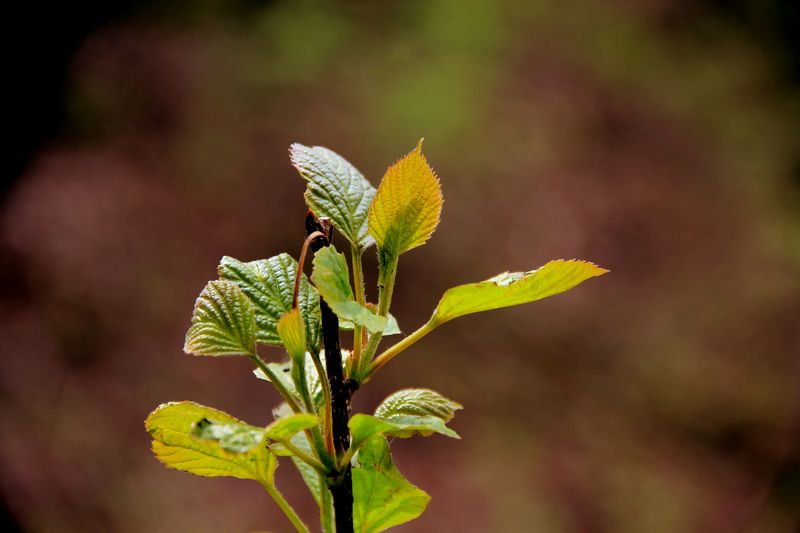 _mg_6461.jpg