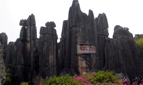 p3211625__.jpg