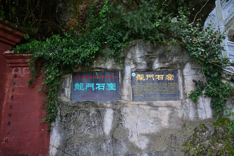 dsc_0584.jpg