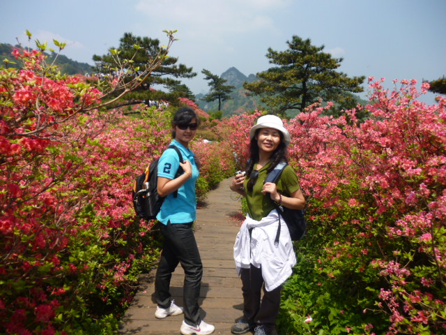 p1020858.jpg