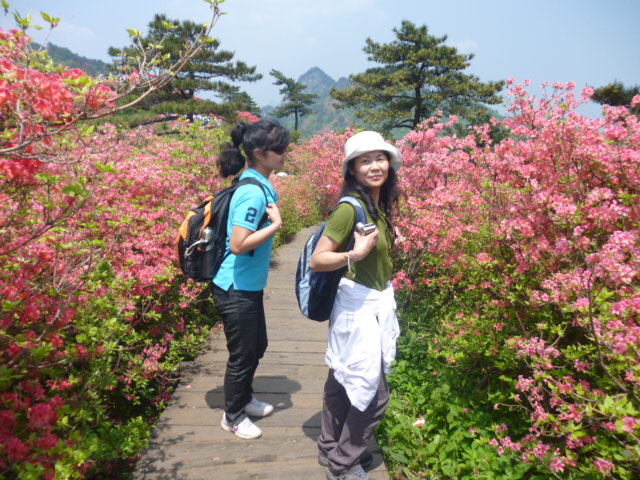 p1020857.jpg