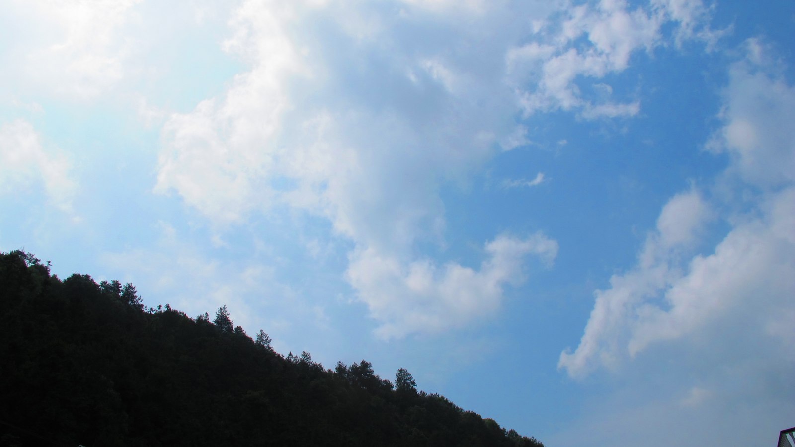 6y 017.jpg