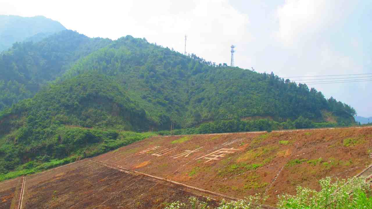 6y 006.jpg