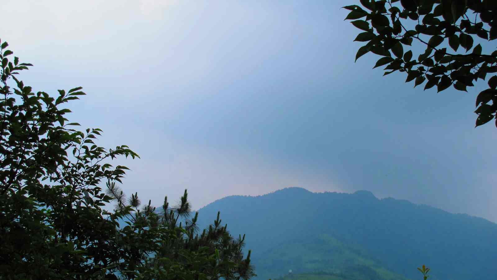 6y 033.jpg