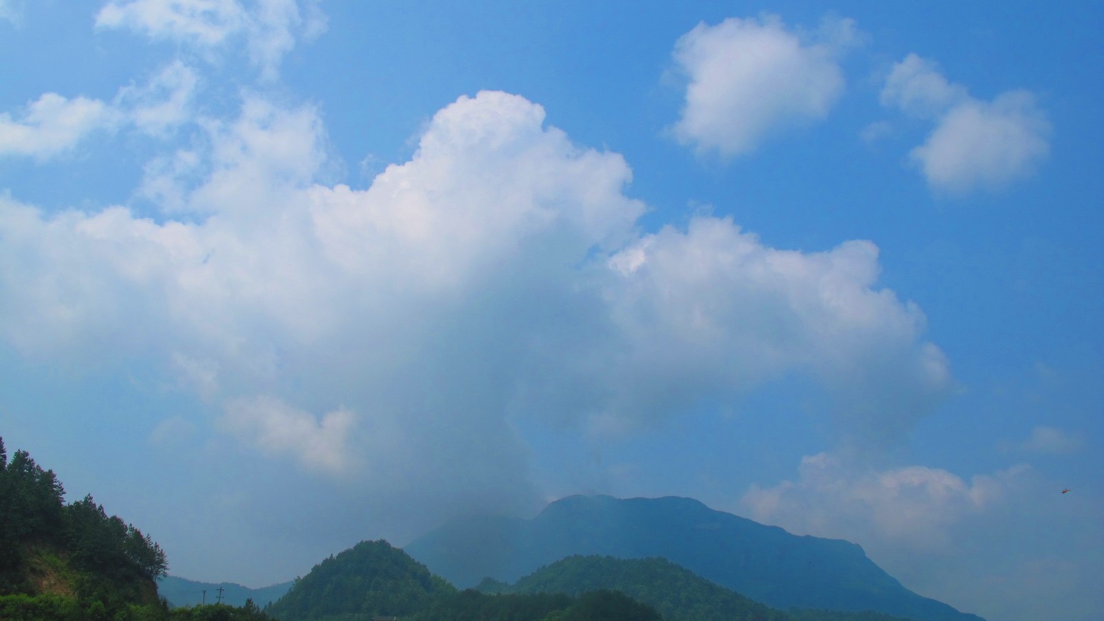 6y 013.jpg