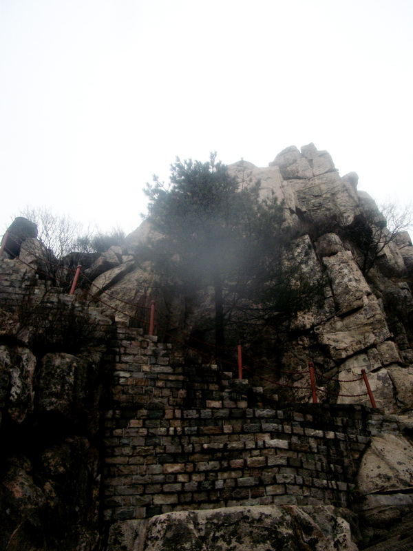 dscf0353.jpg