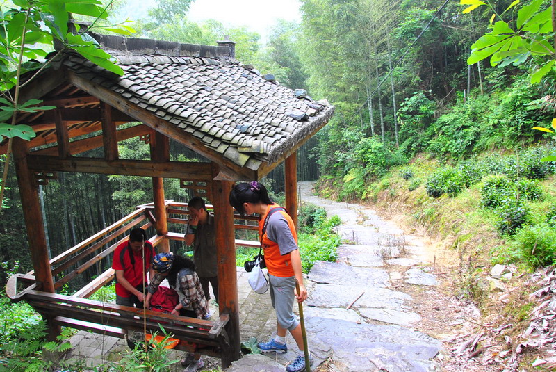 20120609ģǱŵ_287_С.jpg