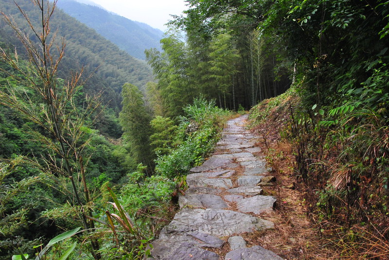 20120609ģǱŵ_298_С.jpg