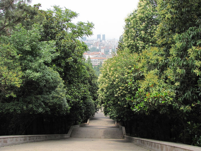 Ƭ 009.jpg