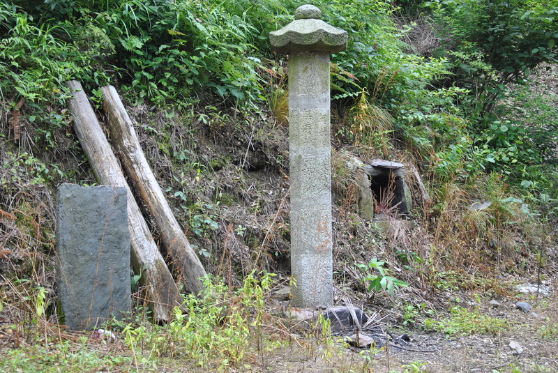 20120609ģǱŵ_303_С.jpg