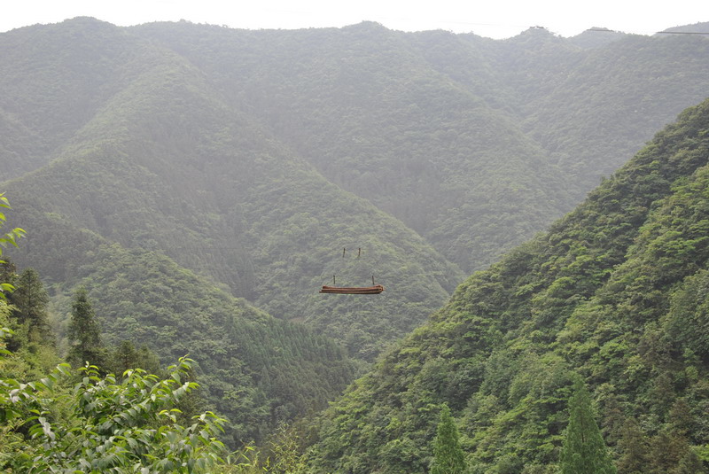 20120609ģǱŵ_305_С.jpg