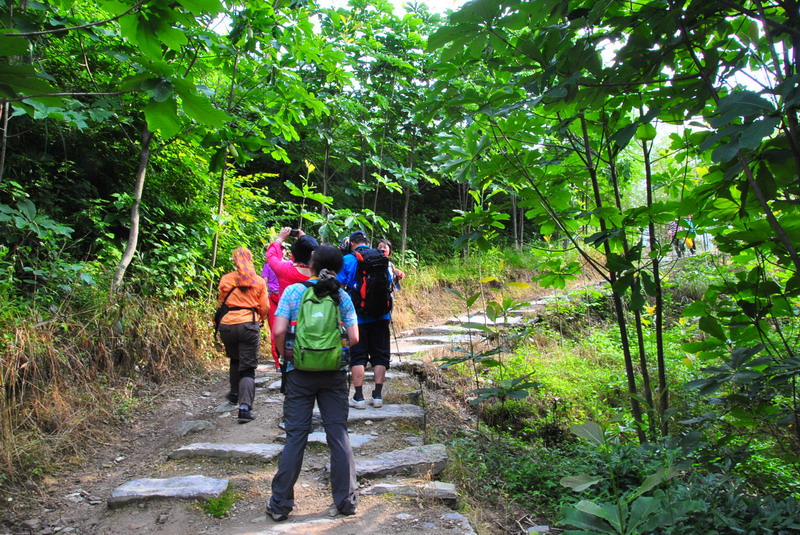 20120609ģǱŵ_307_С.jpg