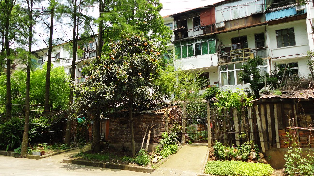 neo_img_dsc07118.jpg