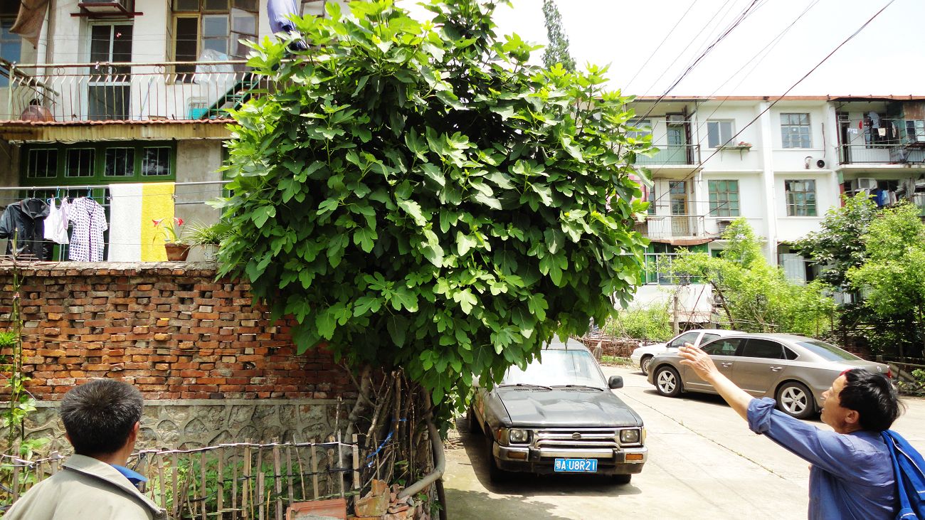 neo_img_dsc07120.jpg