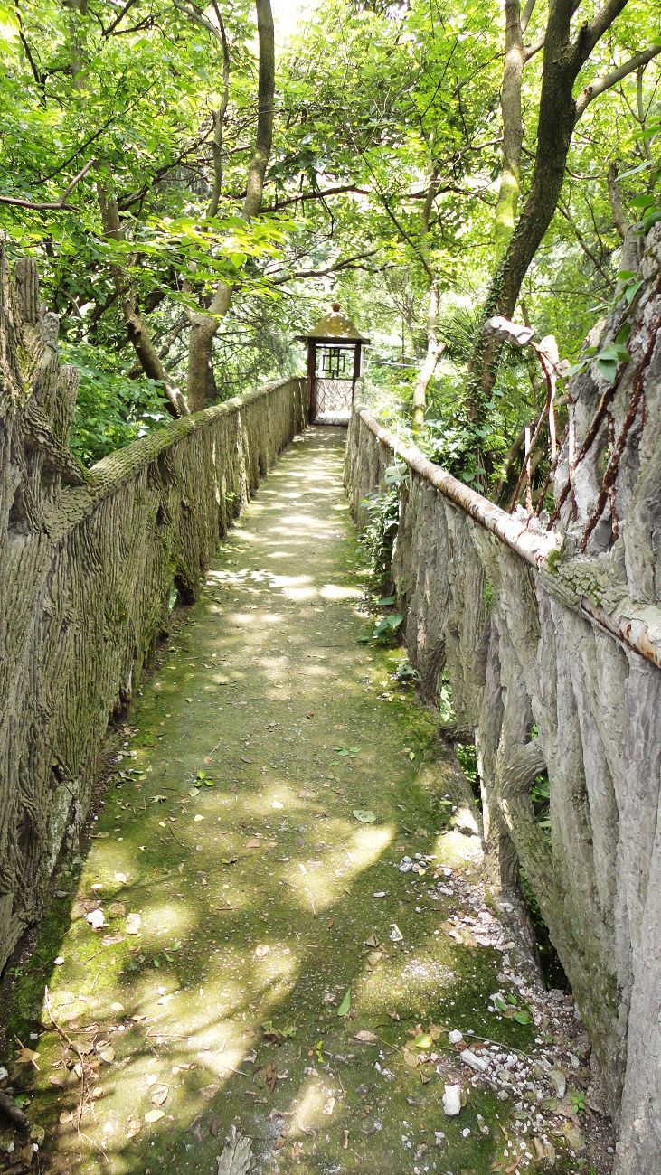 neo_img_dsc07154.jpg