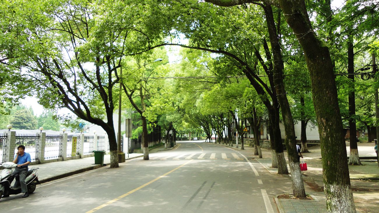 neo_img_dsc07199.jpg