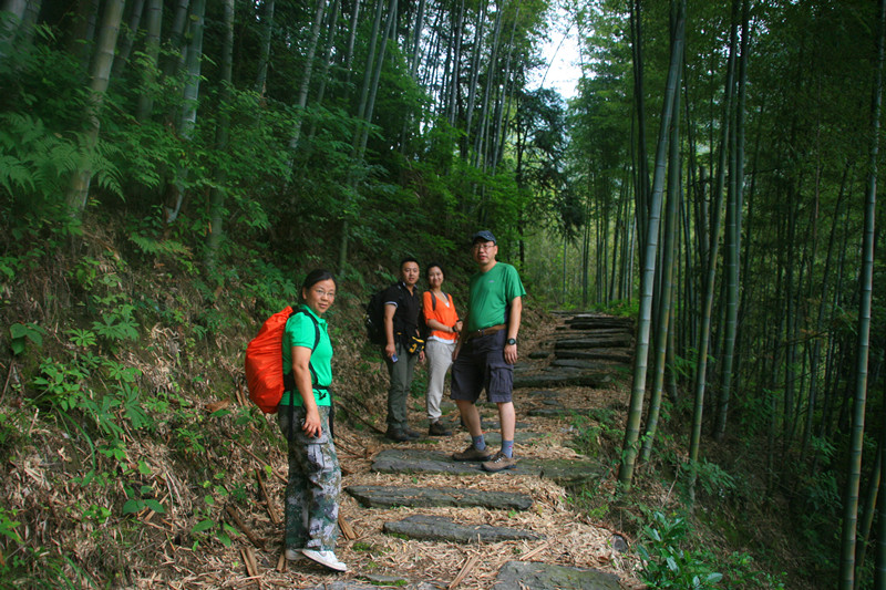 ŵ 490_.jpg