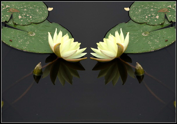 psb11.jpg