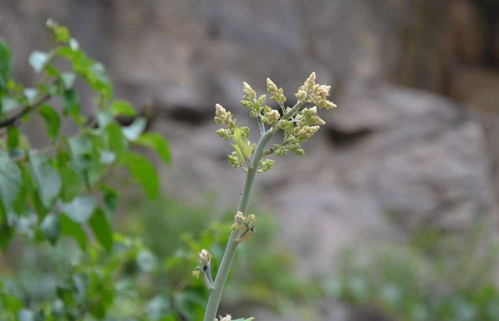2012.6.3Ů̶275.jpg