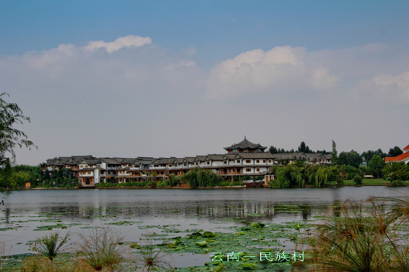 img_4317_СС.jpg