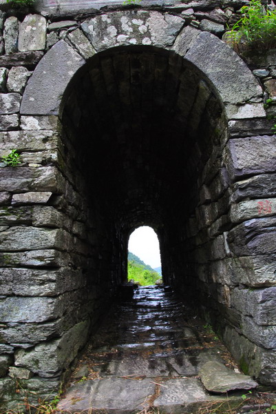 20120609ģǱŵ_319_С.jpg